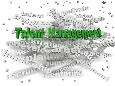 3d image Talent management word cloud concept