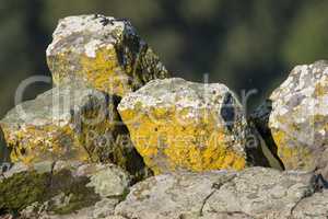 Interesting columnar basalt at Hungary