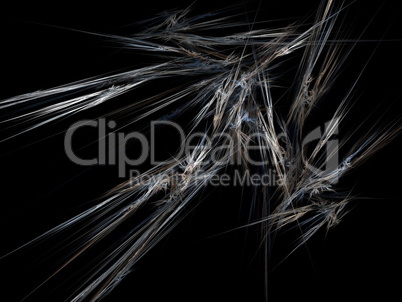 Digital Fractal on Black Digital Fractal on Black