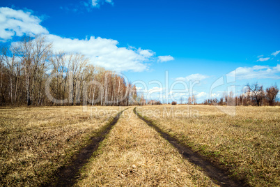 Beautiful rural landscape