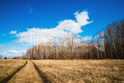 Beautiful rural landscape