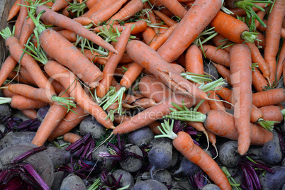 Karotten und Rote Bete