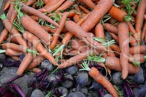 Karotten und Rote Bete