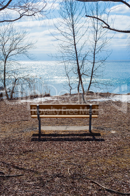 Empty wood bench at lake and bare trees in winter