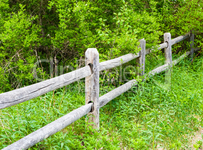Old rural wood fence in overgrown bushes