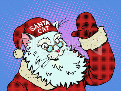 Santa Claus cat