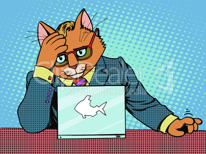 Business cat works for a laptop