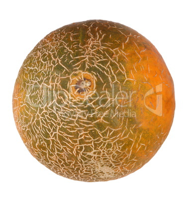 Melon Isolated