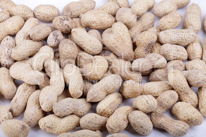 groundnut background