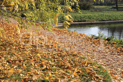 park in gold fall