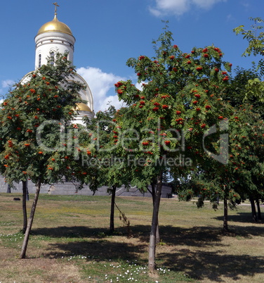 church and asberry