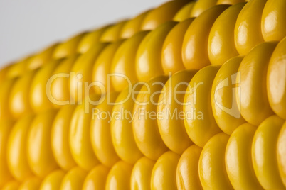 Abstract detail of corn.