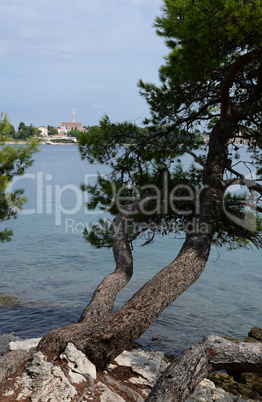 Küste bei Rovinj, Istrien, Kroatien