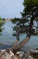 Küste bei Rovinj, Istrien, Kroatien