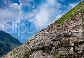 Rohtang La pass Traffic jam of cars