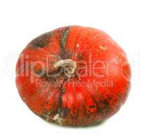 Red ripe pumpkin