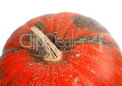 Part of pumpkin isolated on white background