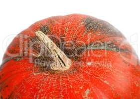 Part of pumpkin isolated on white background