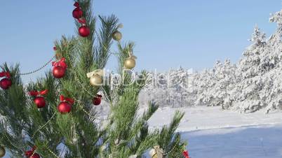 Decorated Christmas tree in snow covered winter forest