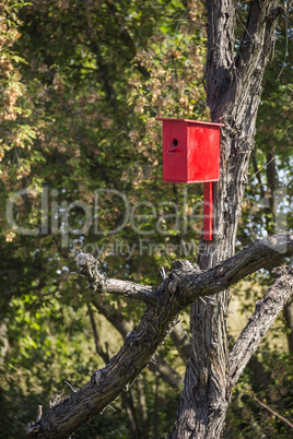 red nesting box