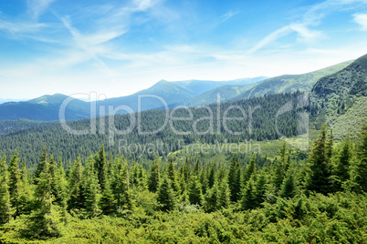 mountains covered trees and blue sky