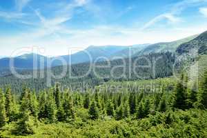 mountains covered trees and blue sky