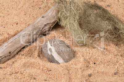 Kieselstein am Strand