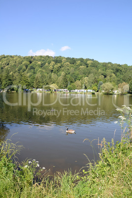 Campingplatz bei Laudenbach am Main