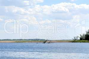 Wood on river coast