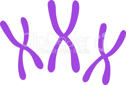 Violet--chromosomes.eps