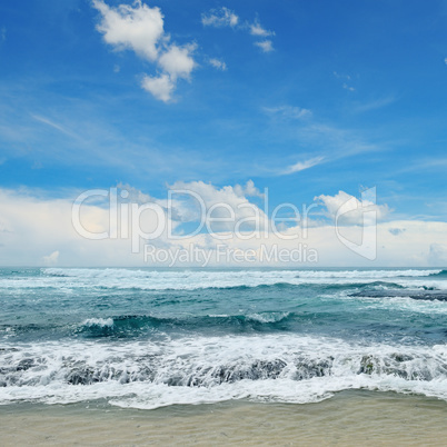 beautiful waves in the sea