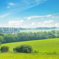 picturesque green field and blue sky