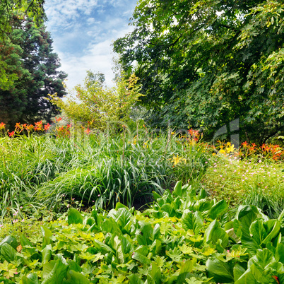 summer park with a beautiful flower bed