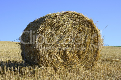 Straw bales