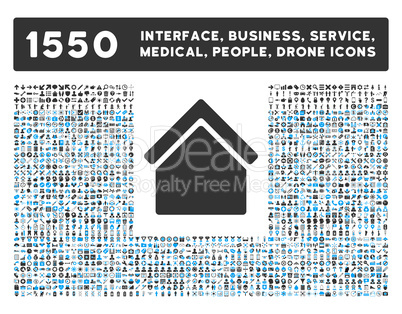 Home Icon and More Interface, Business, Tools, People, Medical, Awards Flat Glyph Icons