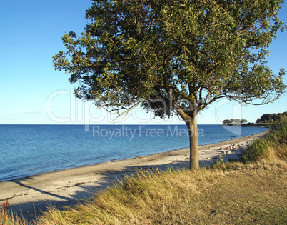 Strand an der Ostsee am Abend