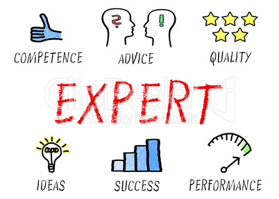Expert - Competence and Advice