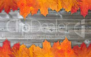 Autumn leaves on wooden background