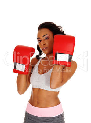 Athletic woman wearing boxing gloves.