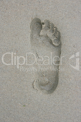 Footprint