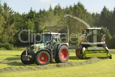Agriculture, forage harvester and transport grass with green tra