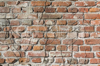 Background, old masonry brick wall.