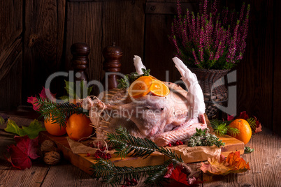 Raw goose in marinade