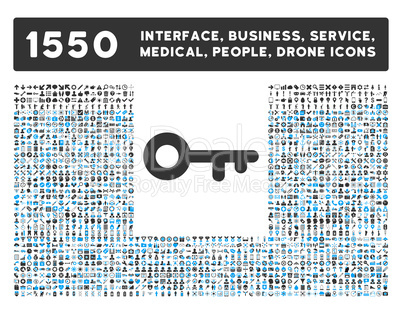 Key Icon and More Interface, Business, Tools, People, Medical, Awards Flat Glyph Icons