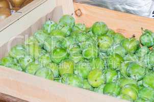 Frische grüne Früchte Pflaume