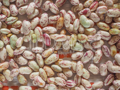 Crimson beans vegetables background