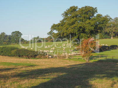 View of Tanworth in Arden View of Tanworth in Arden