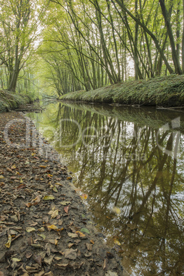 Protected Brook in the Netherlands