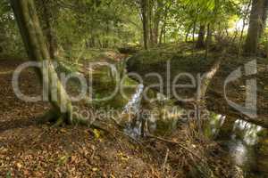 Protected Brook in the Netherlands