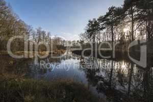 Dutch nature reserve